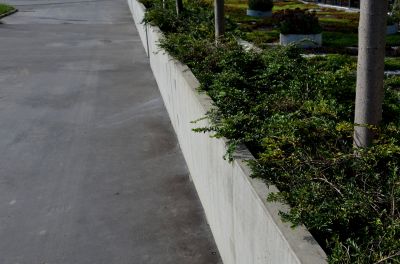 Concrete Landscape Curbing Costs — Cost of Concrete Landscape Curbing
