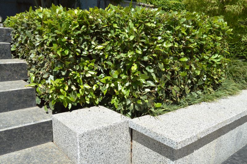 Reduce Lawn Maintenance