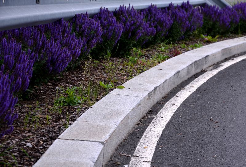 Enhance Curb Appeal